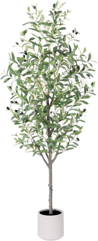 Indoor plants