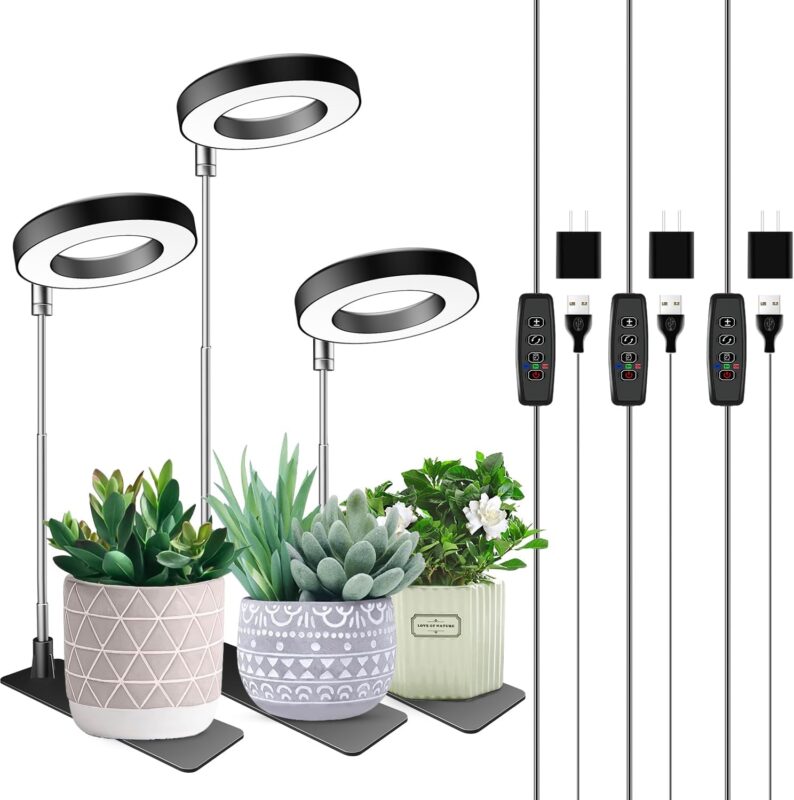 Indoor plants