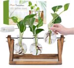 Indoor plants