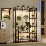 Indoor plants