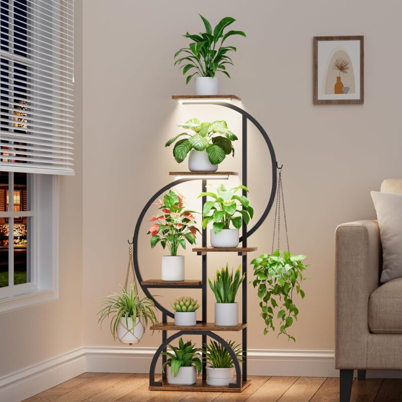 Indoor plants