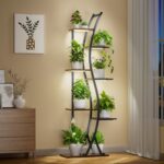 Indoor plants