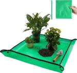 Indoor plants