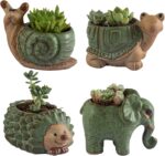 Indoor plants