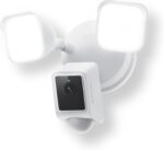Surveillance cameras