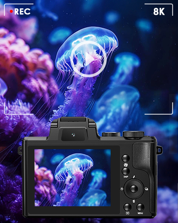 professional digital camera
