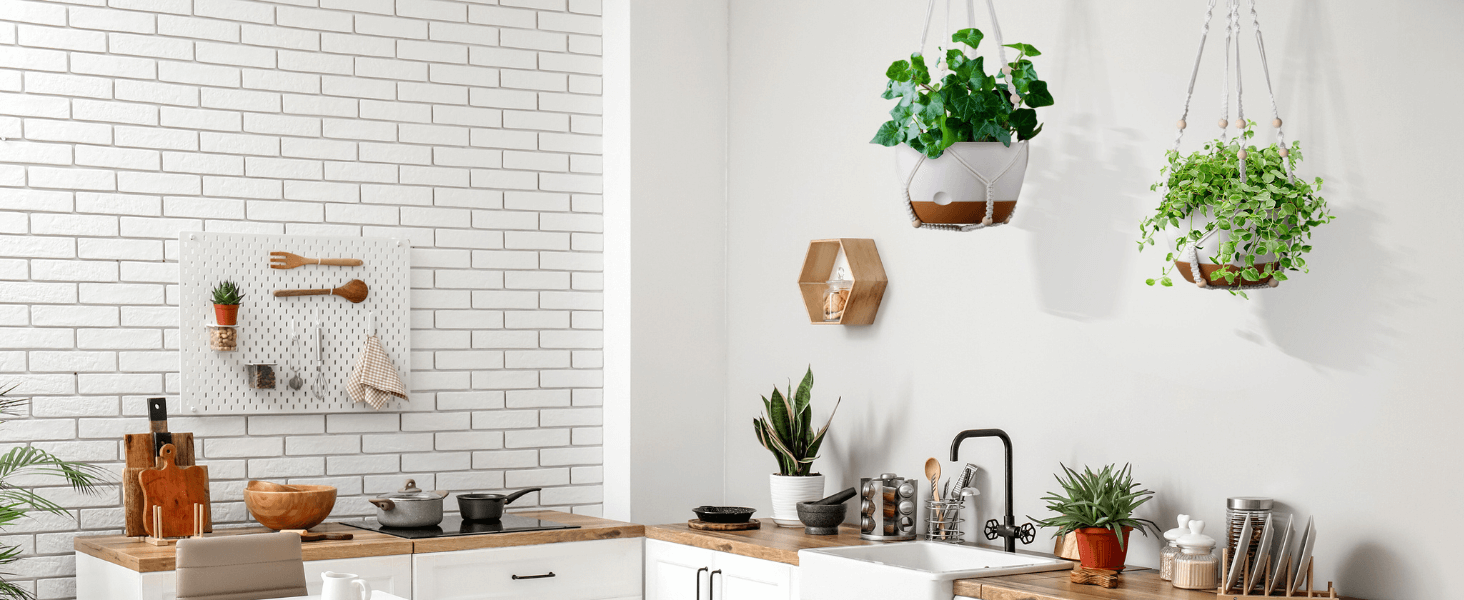 Kitchen Indoor Plant Hanging Baskets