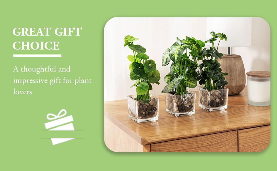 Set of 3 Artificial Plants, Faux Tabletop Greenery w/Clear Glass Pots