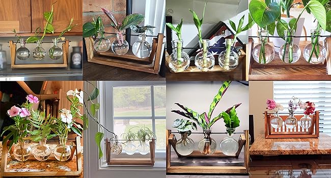 gardening gifts