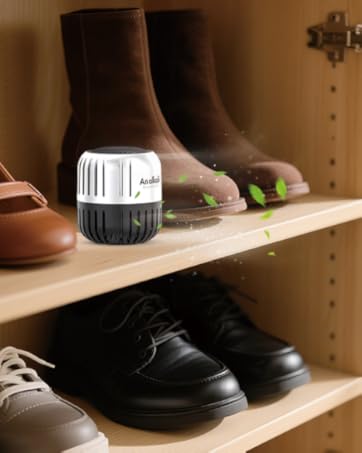Shoe deodorizer