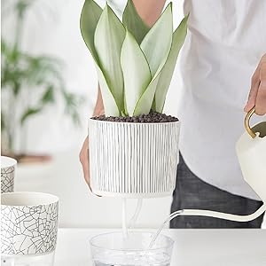 flower pots
