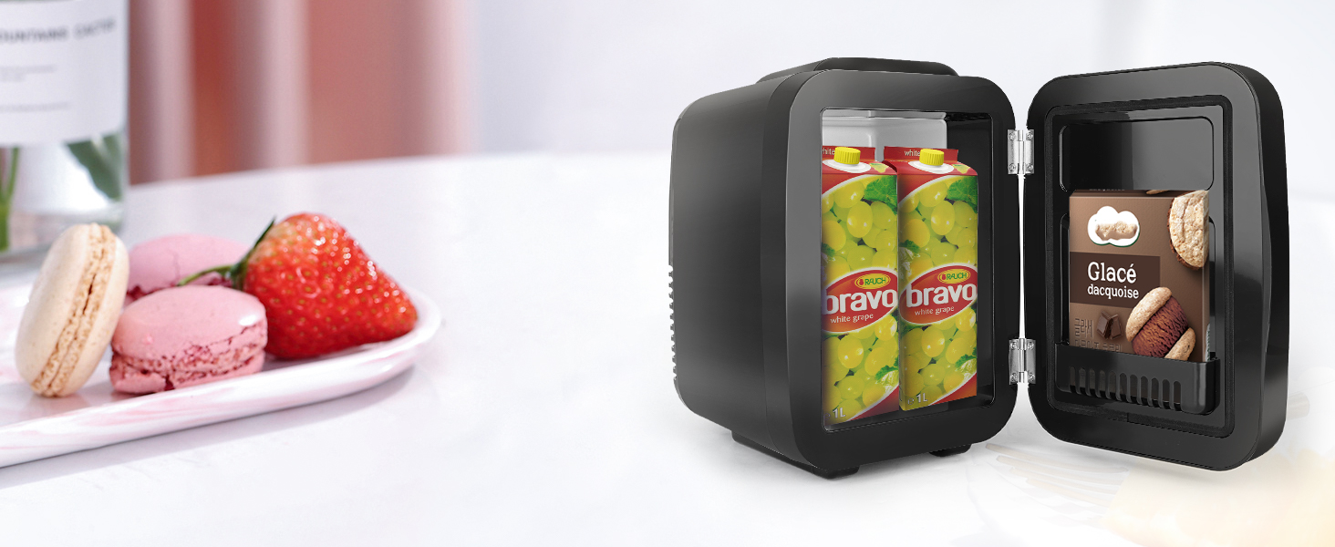 Mini Fridge Small Refrigerator Portable Thermoelectric Cooler and Warmer Fridge