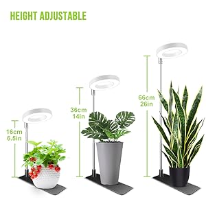 grow light
