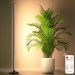 Indoor plants