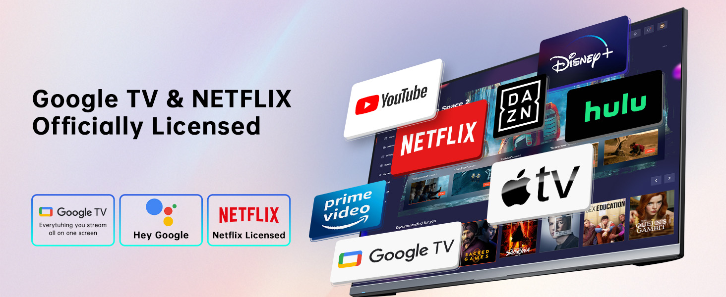 Google TV & NETFLIX