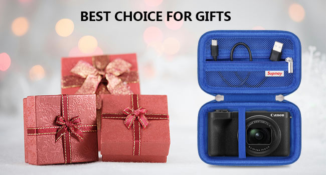 Canon PowerShot V1 Case