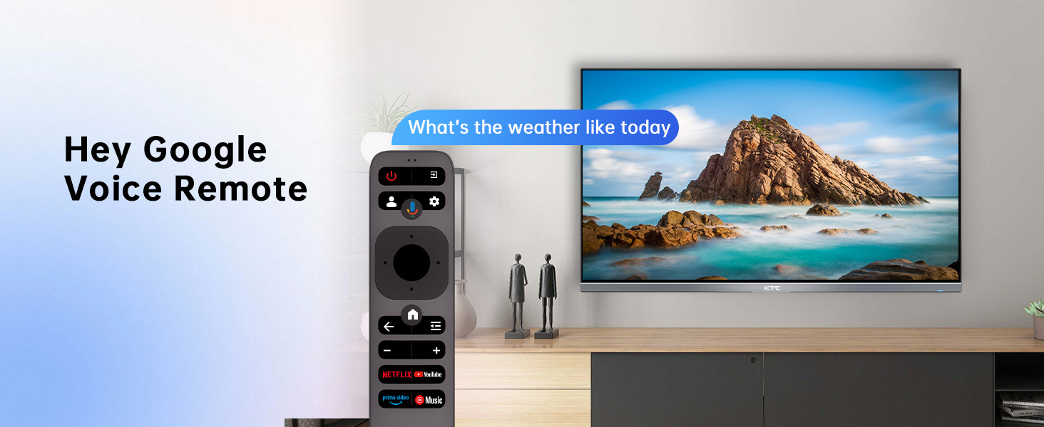 Hey Google Voice Remote