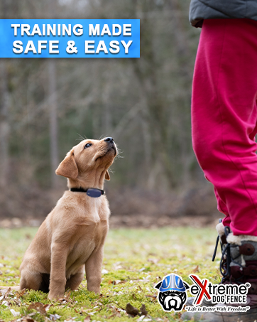 Training made easy and safe