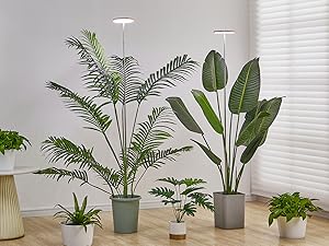 grow light