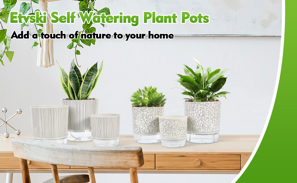 3 Pack Self watering pots for indoor plants, Plant Pot for Indoor Plants, Little Flower Pots
