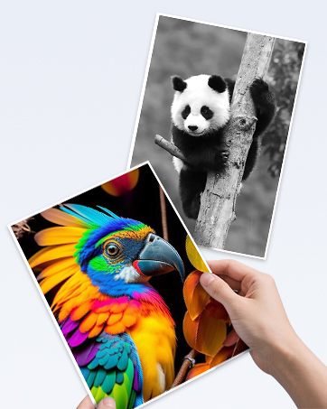 404 ink cartridges lc404 ink cartridges lc 404 ink cartridges lc-404 ink cartridges