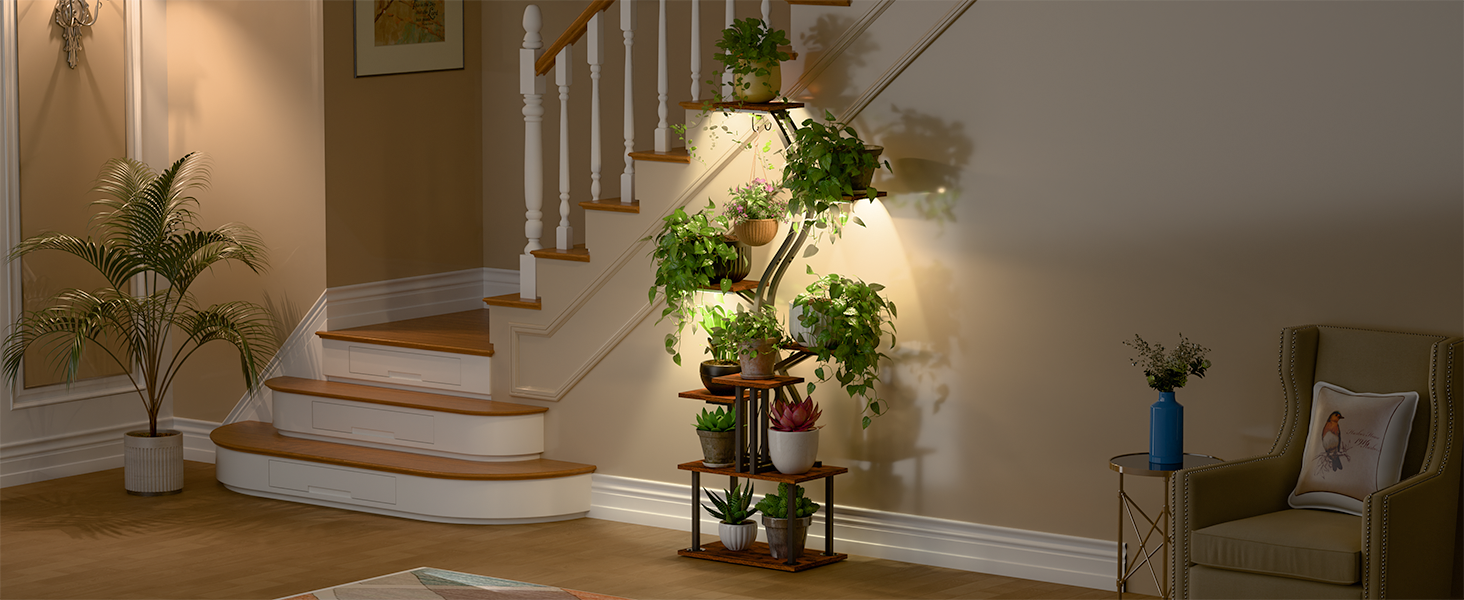 plant stand indoor