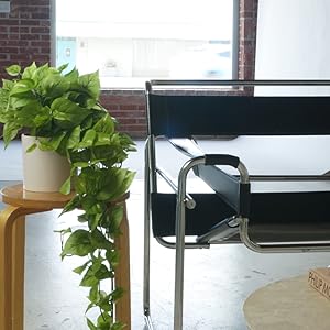 mid century leather chair with faux pothos plant in pot on side table next to it