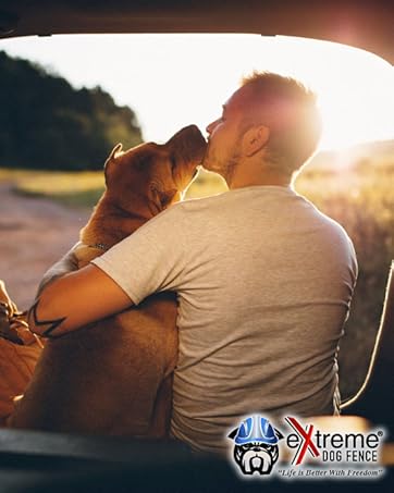 Dog Love