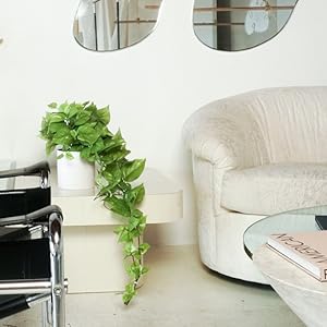 organic contemporary decor living room with artificial plant in pot on coffee table