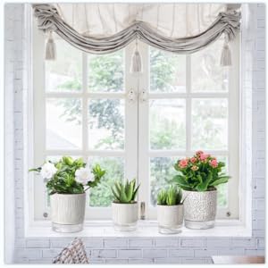 self-watering plant pots