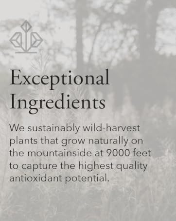 Exceptional ingredients