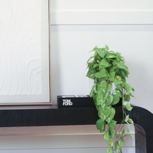 fake pothos plant in an organic modern styled entryway