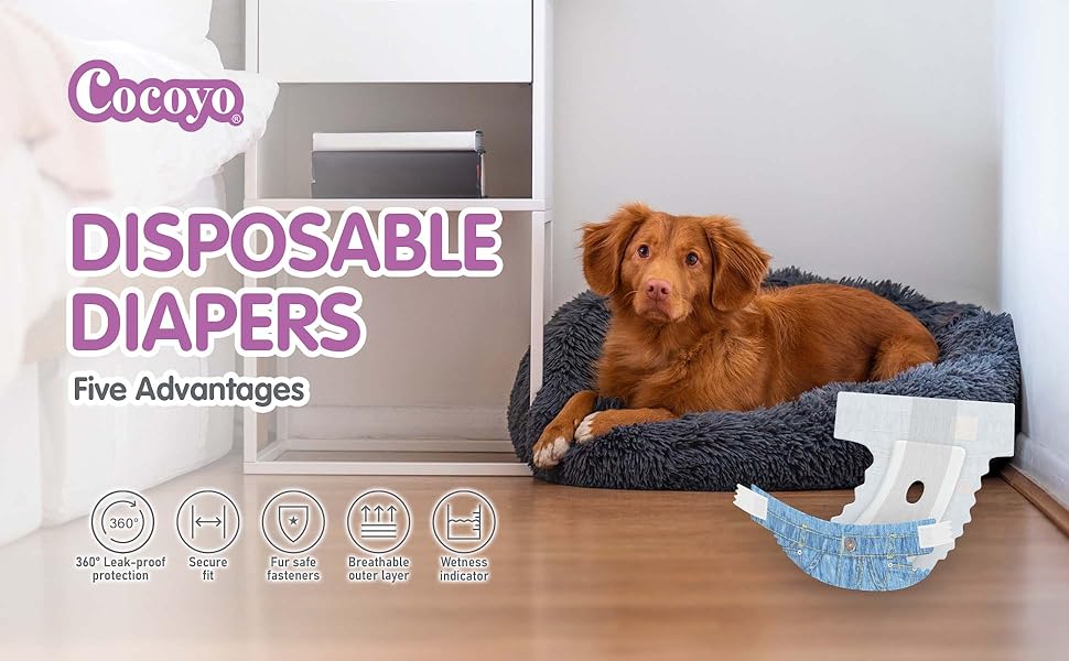 dog diapers female