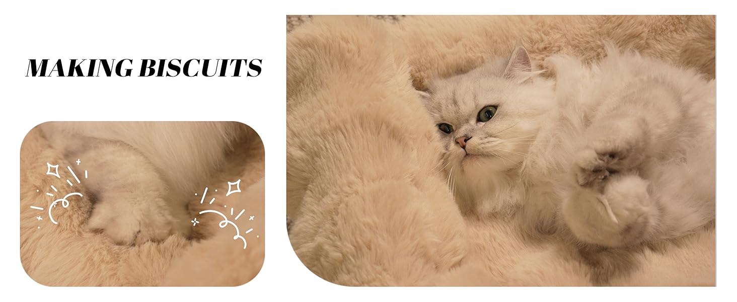 cat couch bed