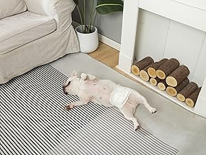 disposable dog diapers male