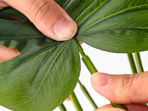 artificial plants indoor