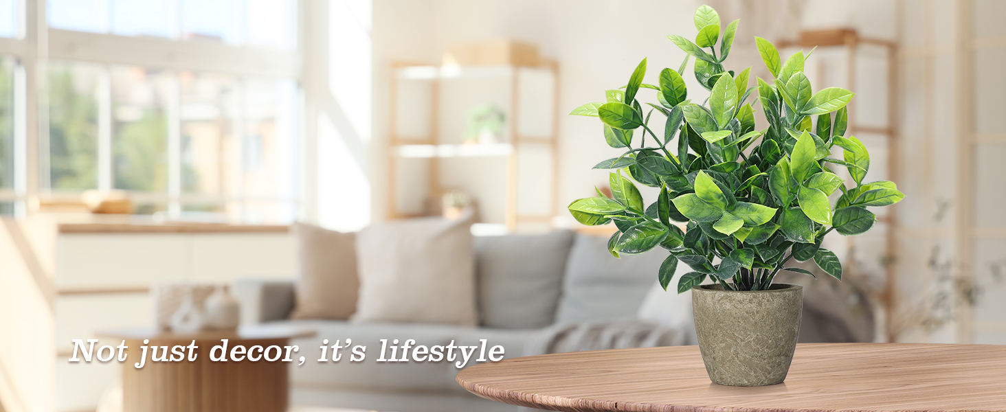 4 potted green plants