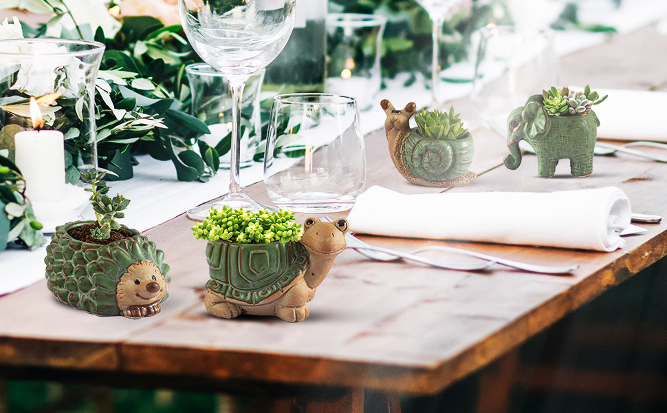 Ceramic Succulent Planter Pots Dining Desk Decoration