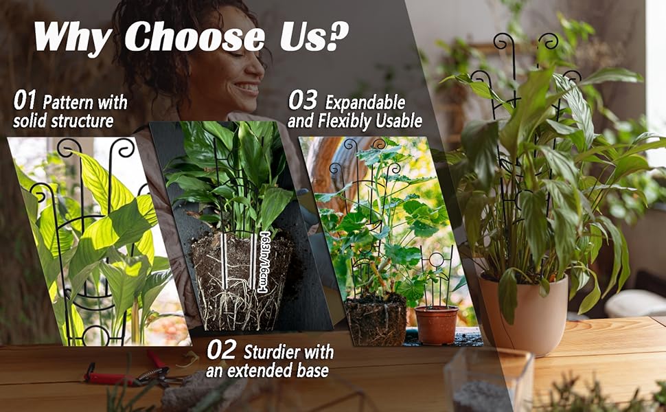 why  choose us