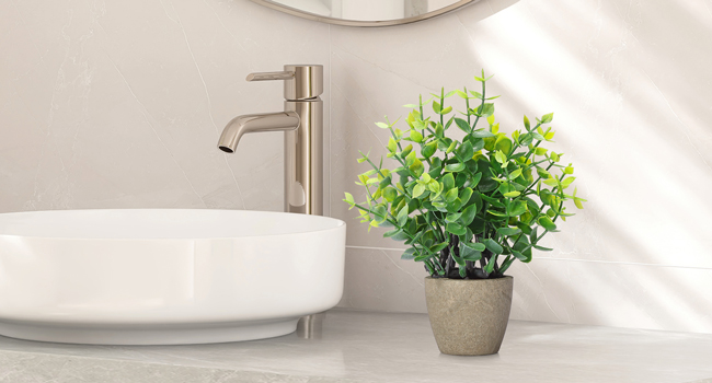 4 potted green plants